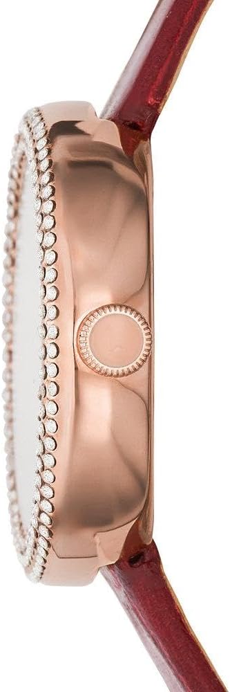 Emporio Armani Reloj Analógico para Mujeres de Cuarzo AR11438,
