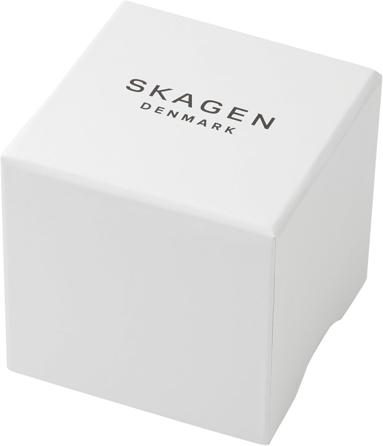 Skagen Reloj Kuppel para Hombre, Movimiento de Cuarzo a Tres Agujas con Esfera Secundaria y Correa de Acero o Piel