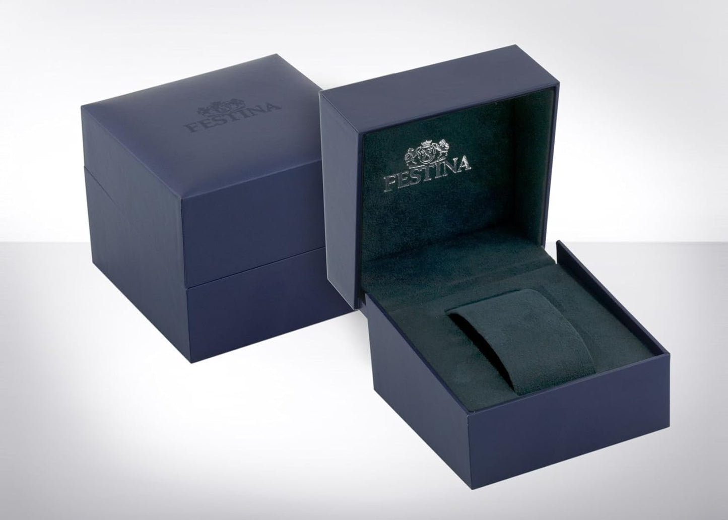 Festina Reloj Cronógrafo para Hombre de Cuarzo con Correa en Cuero F20265/1
